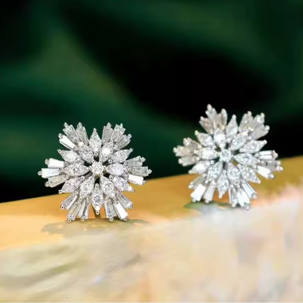 Radiant Silver Burst Earrings - Picture 2 of 5